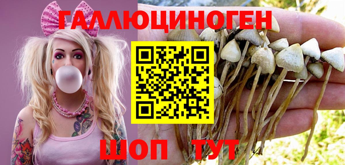 Ефремов  где купить   Псилоцибиновые грибы Psilocybe  Вход с VPN  Псилоцибиновые грибы GOLDEN TEACHER 